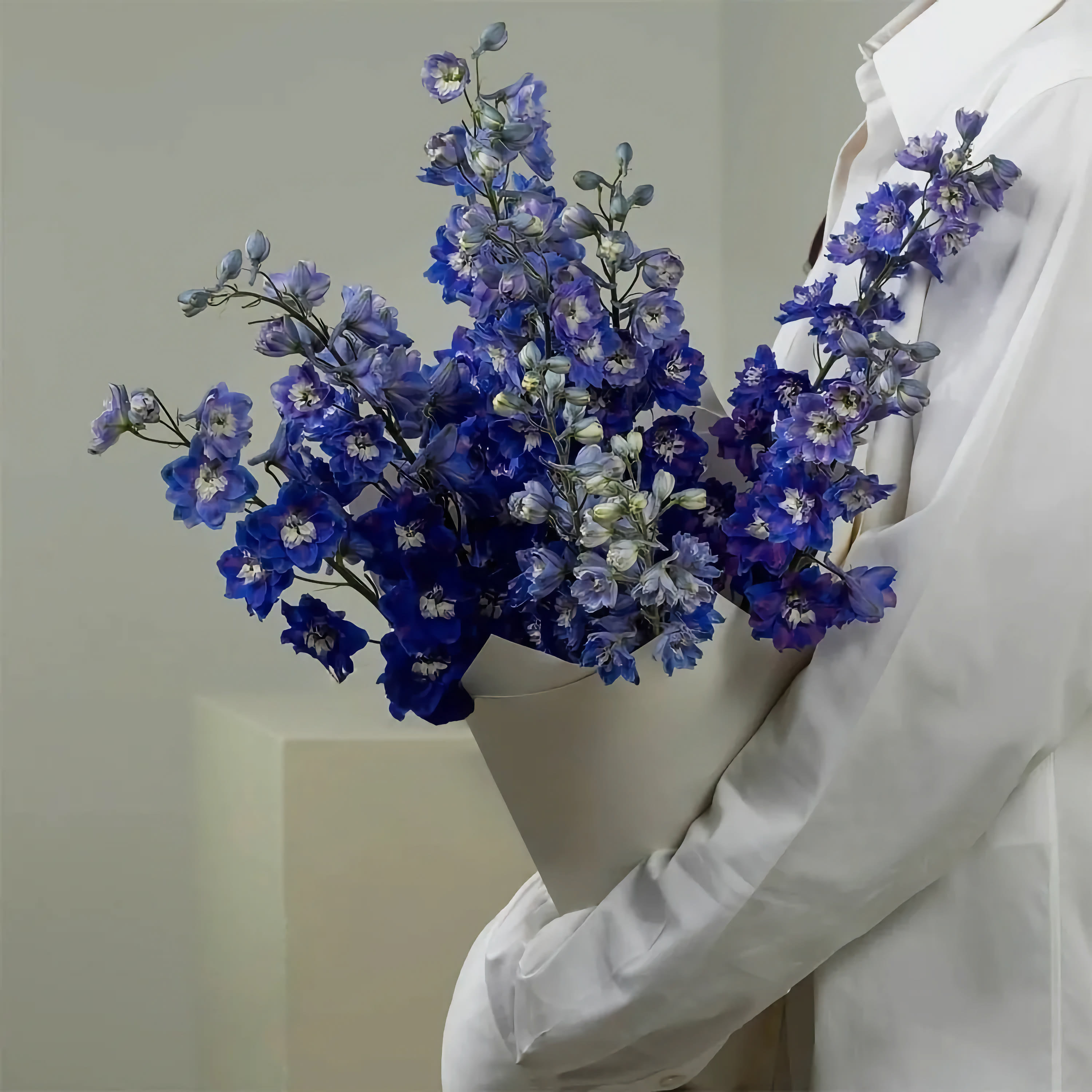 

Монобукет Bounce Flowers дельфиниум 50 см 9 шт. синий