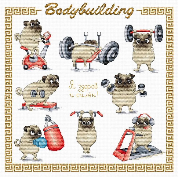 

Набор для вышивания «Bodybuilding. Я здоров и силен»