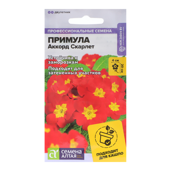 

Семена цветов Примула "Аккорд", скарлет, Сем. Алт, ц/п, 5 шт (2 шт.)