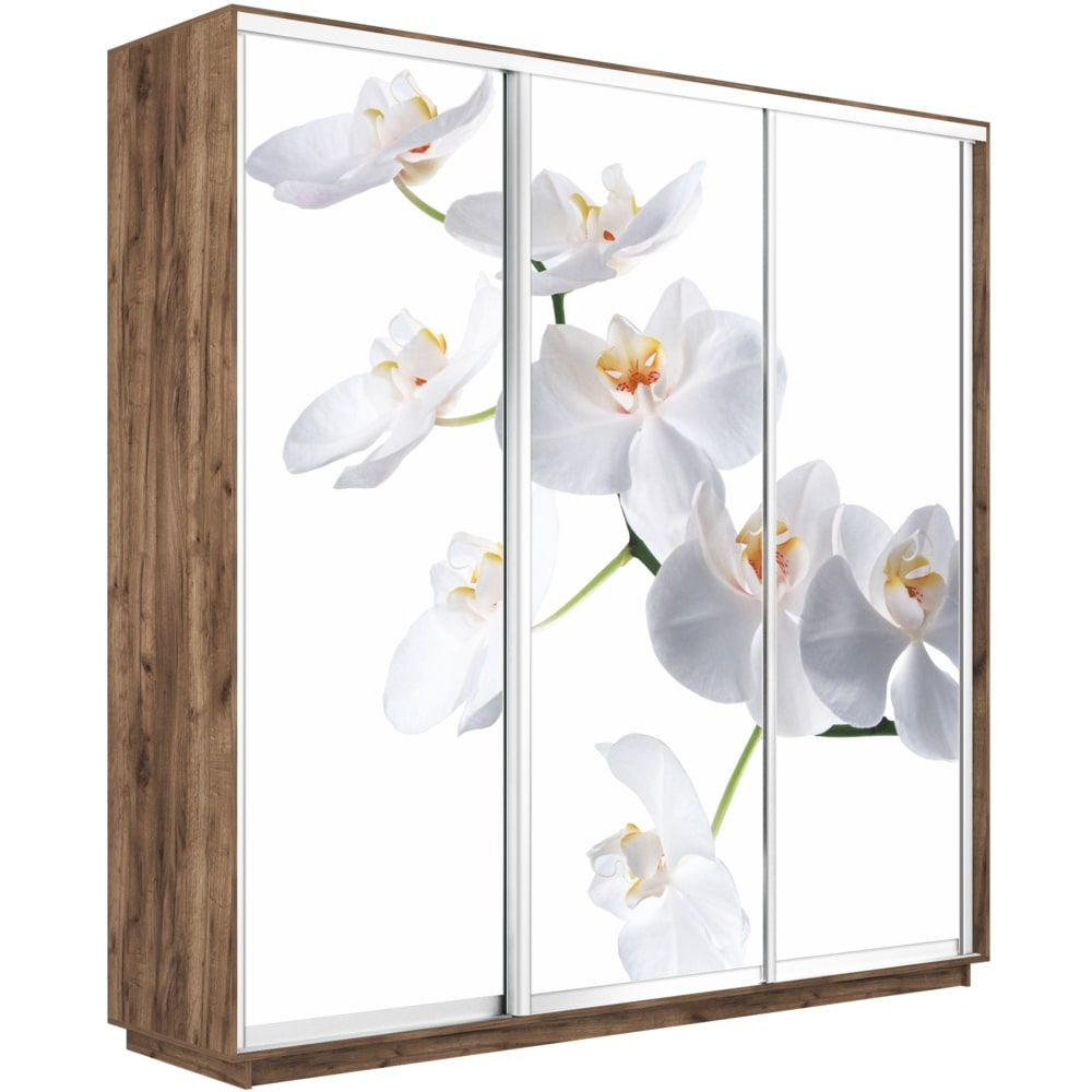 

Шкаф-купе Е1 Экспресс Фото трио Крафт Табачный 180-240-60 ORHID, Коричневый, Экспресс Фото Трио