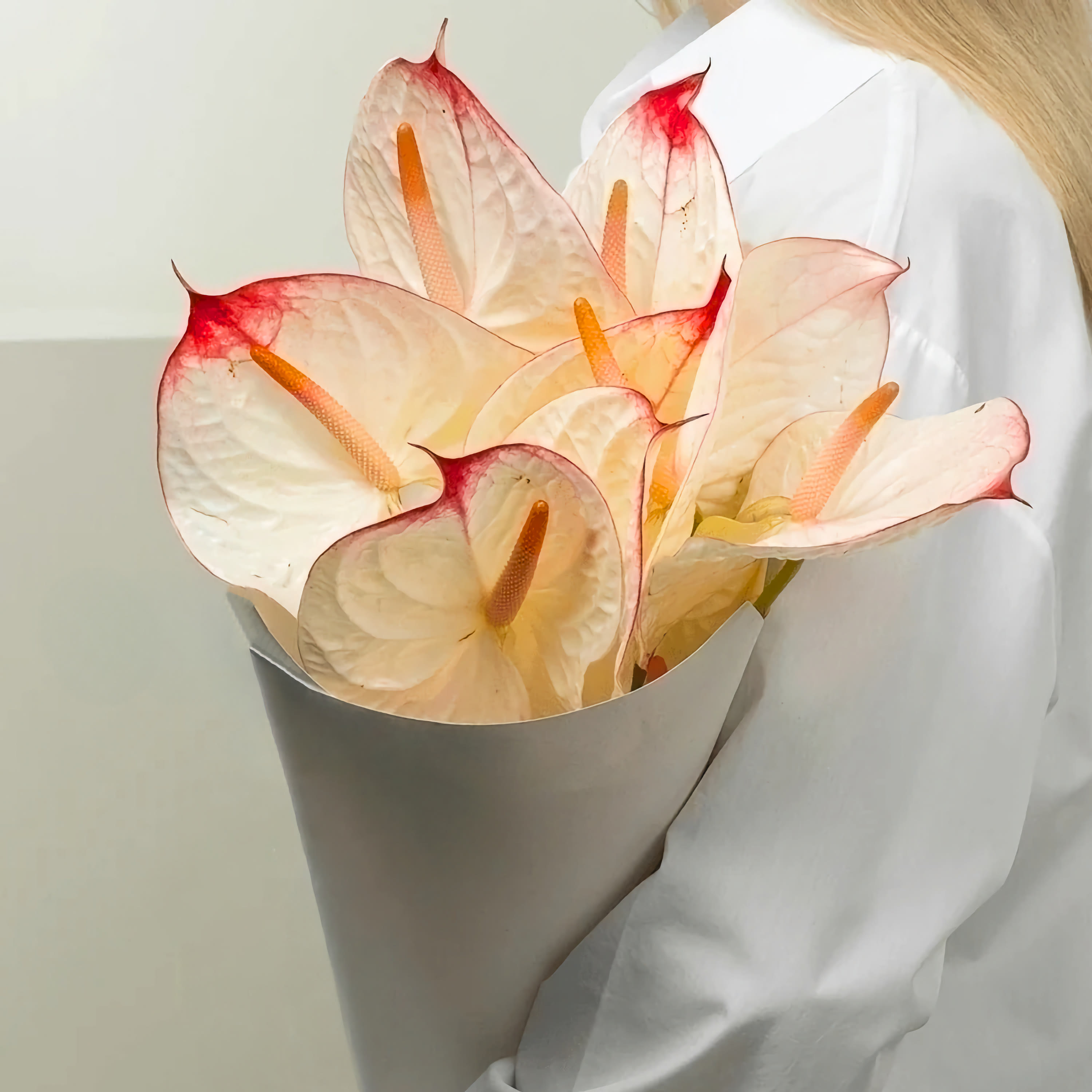 

Монобукет Bounce Flowers антуриум 50 см 11 шт. белый