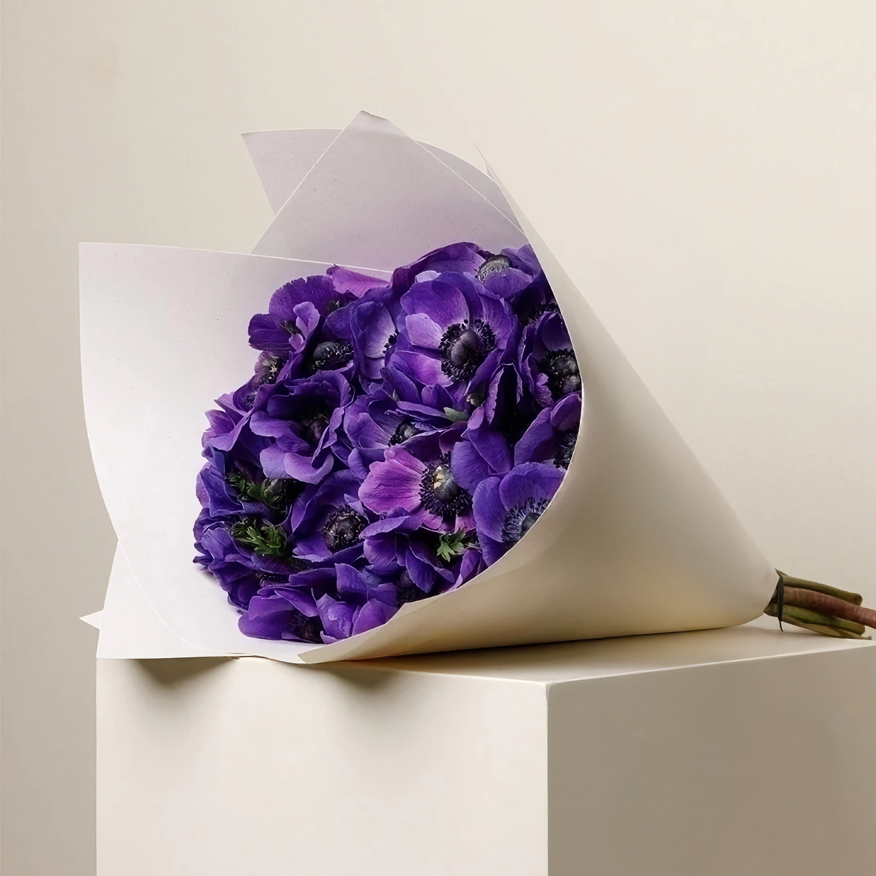 

Монобукет Bounce Flowers анемон 40 см 39 шт. синий