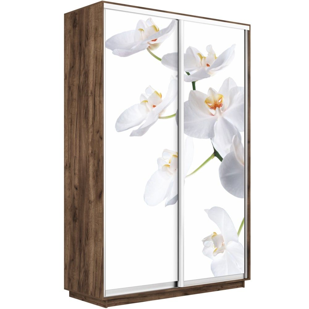 

Шкаф-купе Е1 Экспресс Фото дуо Крафт Табачный 120-220-60 ORHID, Коричневый, Экспресс Фото Дуо