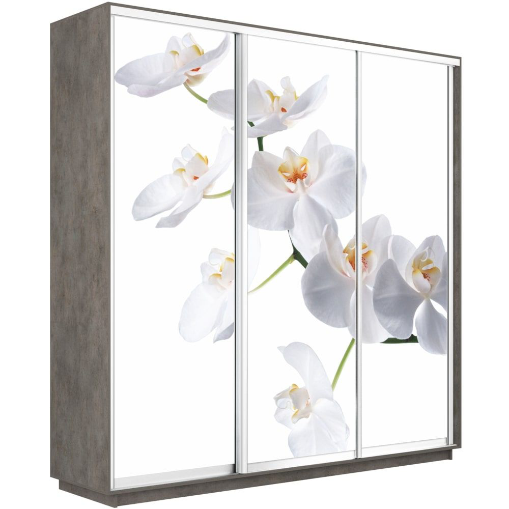 

Шкаф-купе Е1 Экспресс Фото трио Бетон 210-240-60 ORHID, Серый, Экспресс Фото Трио