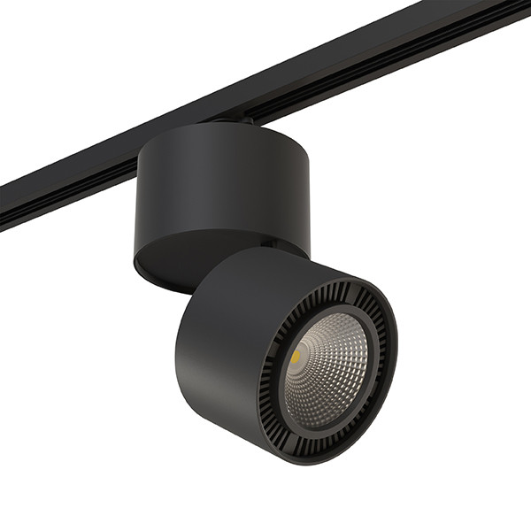 

Светильник на шине Lightstar A1T213837