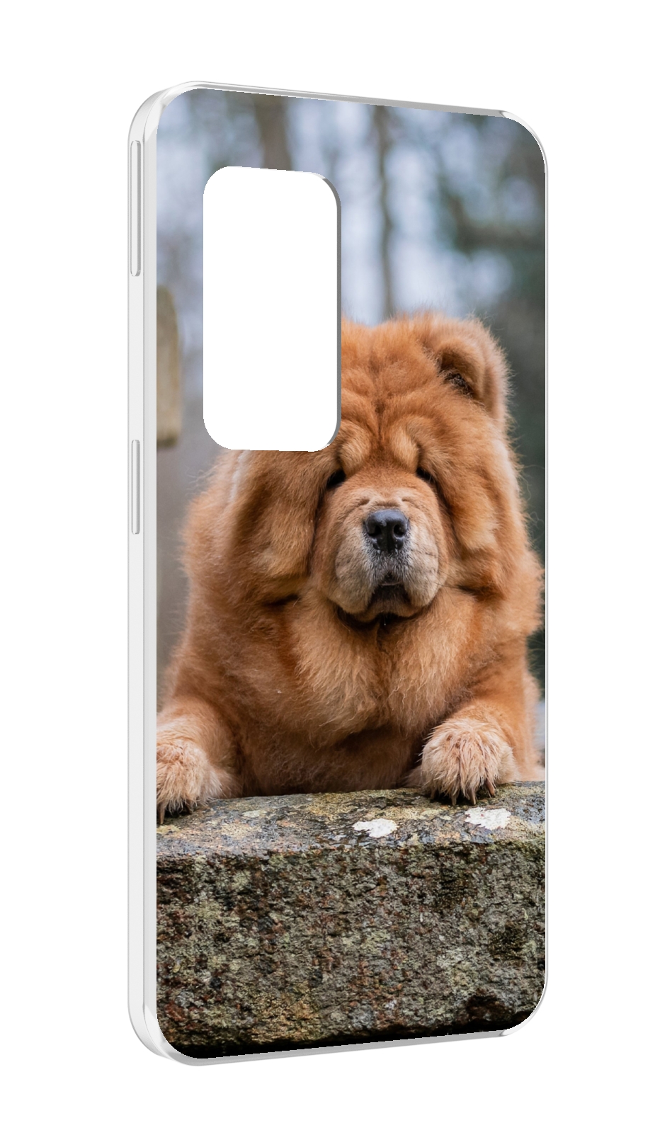 

Чехол MyPads чау чау для UleFone Power Armor X11 Pro, Прозрачный, Tocco
