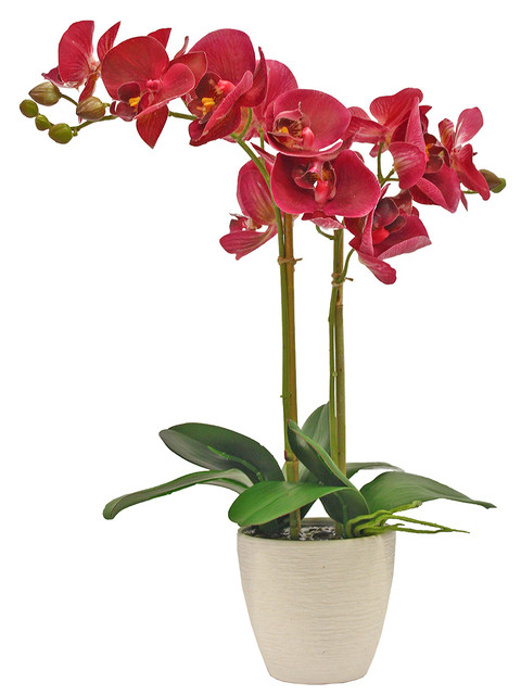 

Искусственные цветы Орхидея Gerard de ros, 17-703/1046