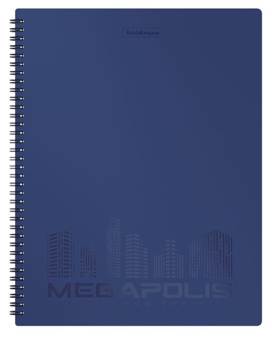 

Папка файловая пластиков на спирали ErichKrause® MEGAPOLIS 60 карманов A4 синий пакет 4шт
