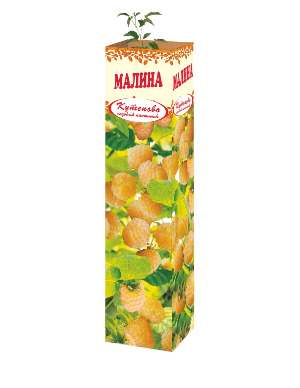 

Саженец Кутепово малина Желтый гигант