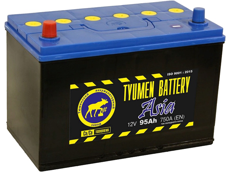 фото Аккумулятор автомобильный tyumen battery asia 95 а/ч 750 а прям. пол. (302х172х223)