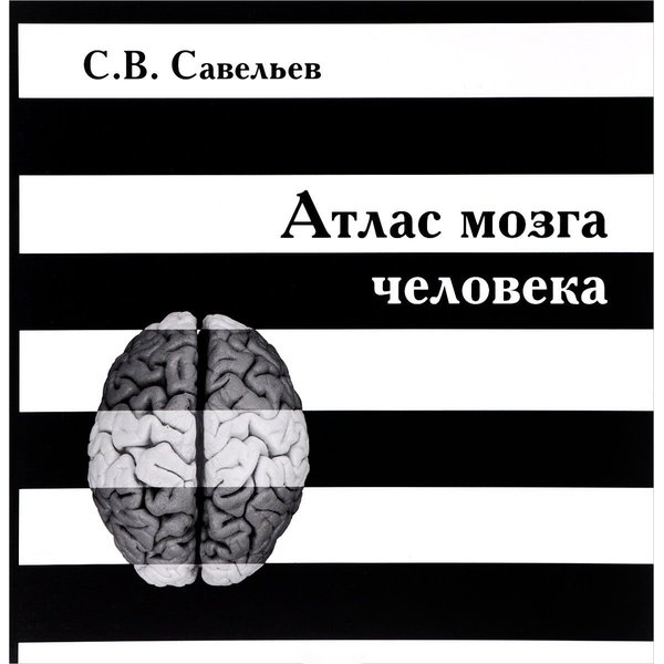 

Атлас мозга человека. Савельев Сергей