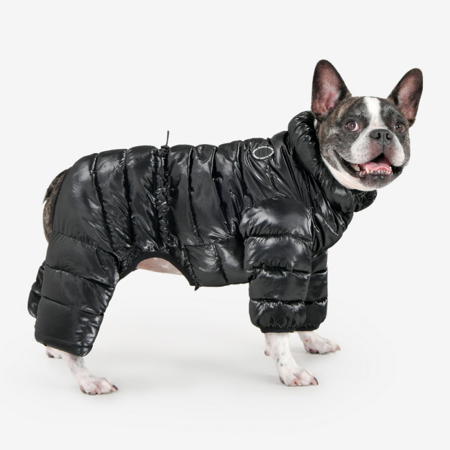 

Комбинезон для собак Puppia Glossy AllInOne Jumper, чёрный, полиэстер, , 31 см, Черный, Glossy AllInOne Jumper