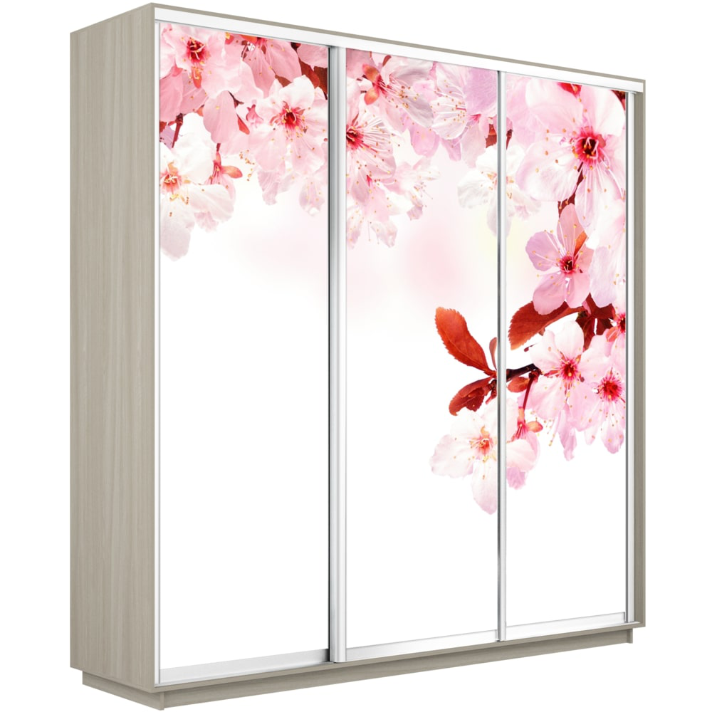 

Шкаф-купе Е1 Экспресс Фото трио Ясень шимо светлый 180-220-60 SAKURA