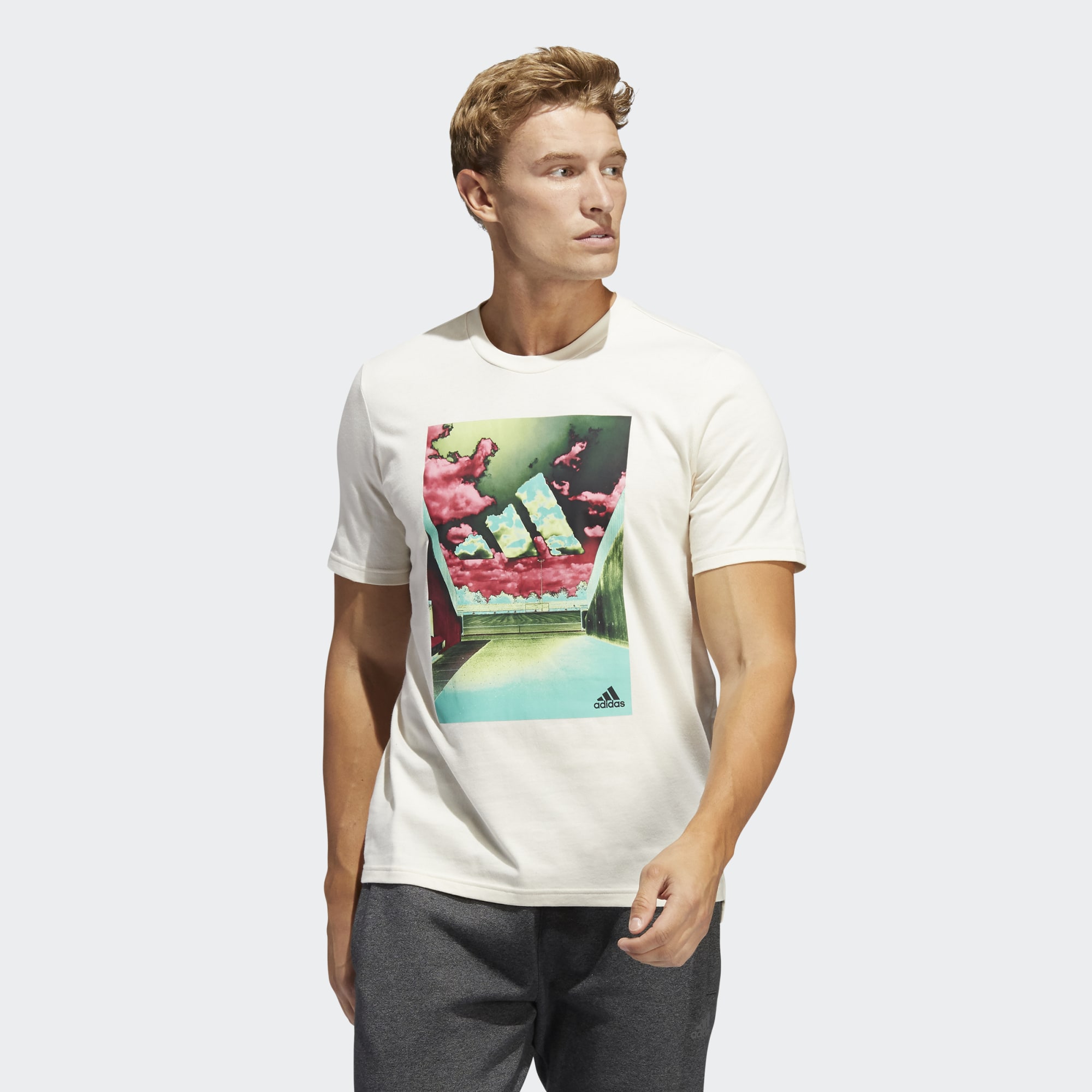 

Футболка мужская Adidas HE2309 белая L, HE2309