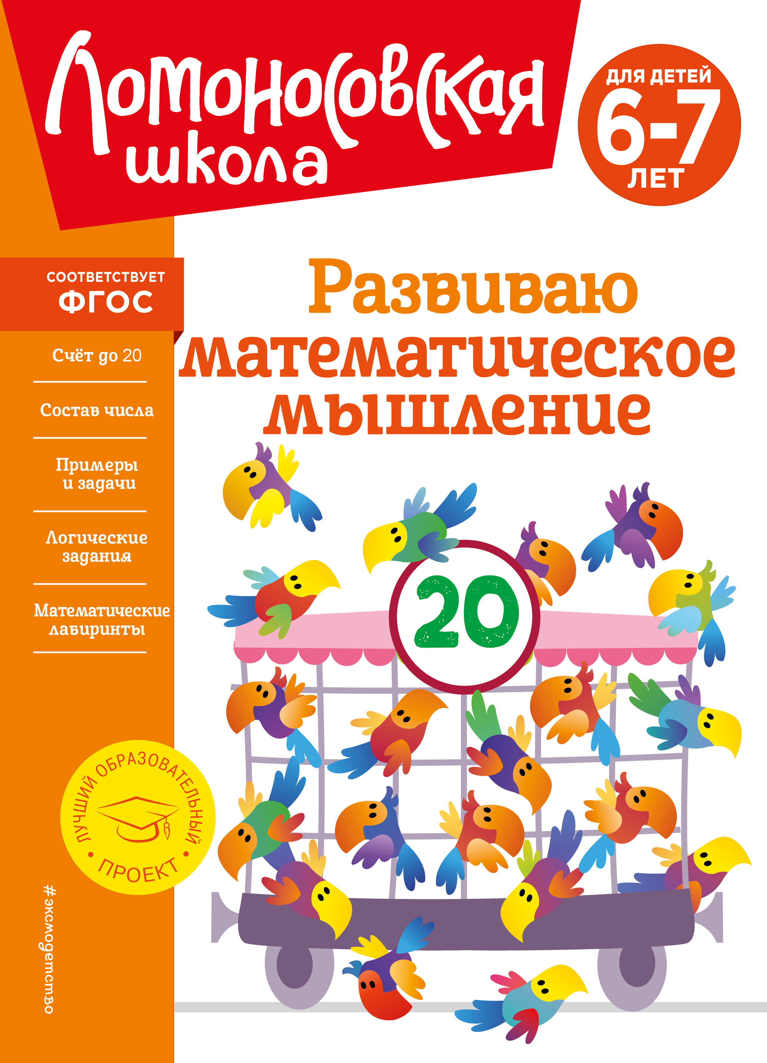 

Развиваю математическое мышление: для детей 6-7 лет