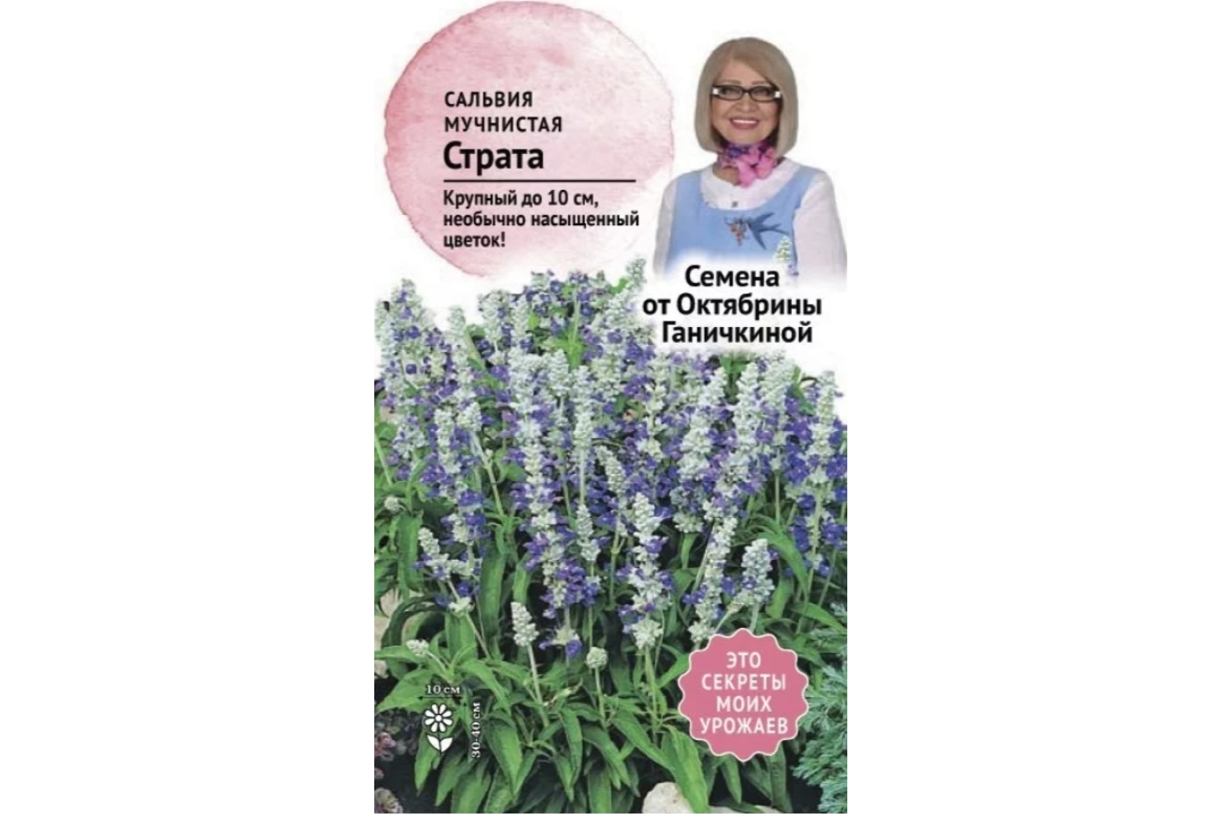 

Семена сальвия Семена от Октябрины Ганичкиной Страта 1 уп.