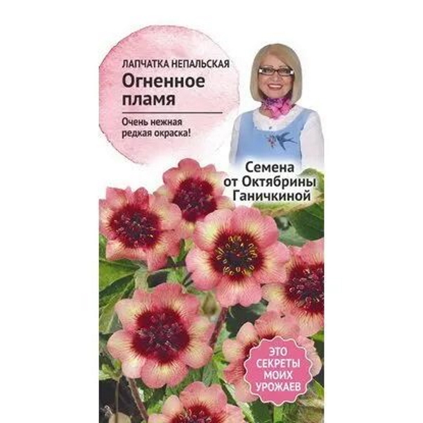 

Саженцы лапчатка Огненное Пламя Семена от Октябрины Ганичкиной 1 шт.