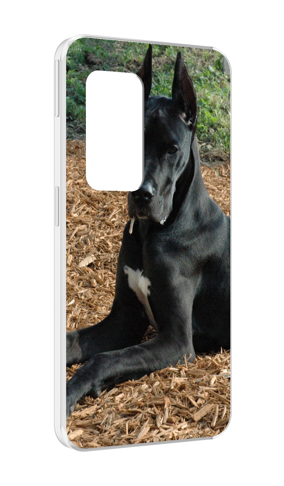 

Чехол MyPads немецкии дог для UleFone Power Armor X11 Pro, Прозрачный, Tocco