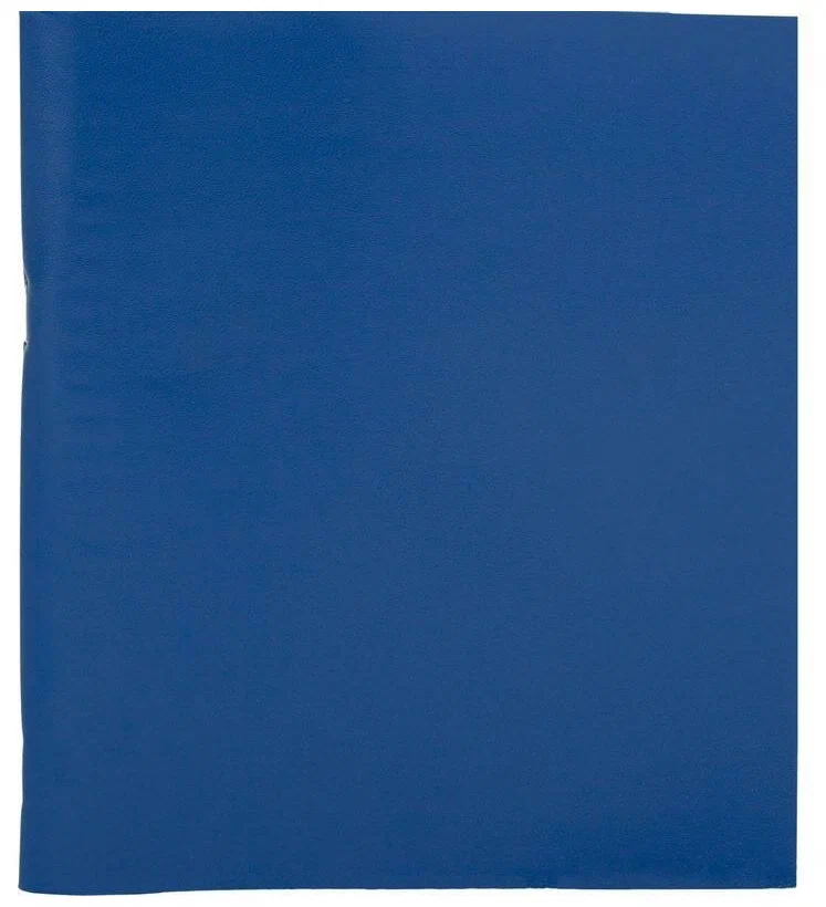 

Тетрадь общая 80л, А4 (клетка, скрепка, обложка синяя, офсет)