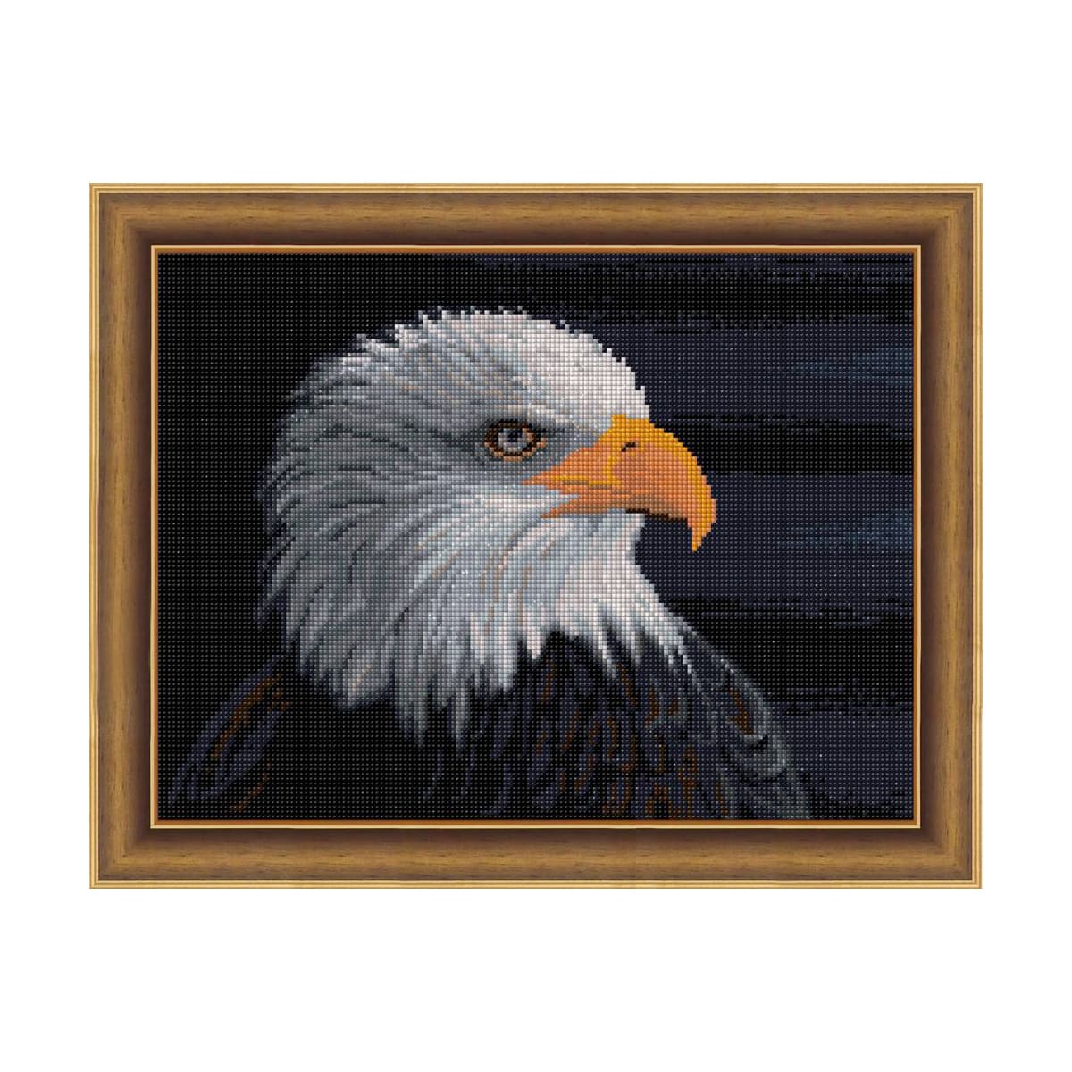 

Алмазная мозаика Белоголовый орлан, 40*30 см, АЖ-1714