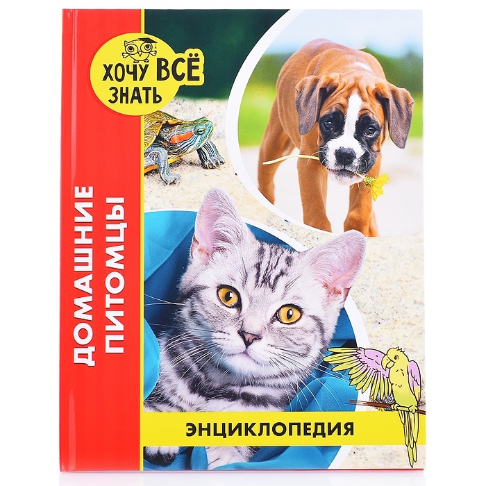 

Энциклопедия Проф-пресс Хочу все знать, Домашние питомцы, красная, Хочу все знать, Домашние питомцы, красная