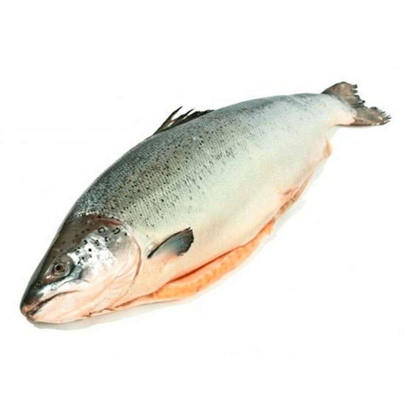 

Лосось Fish&More охлажденный потрошеный с головой тушка +-1 кг