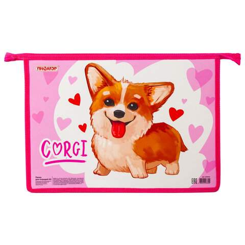 

Папка для тетрадей Пифагор 229102 5 штук A4