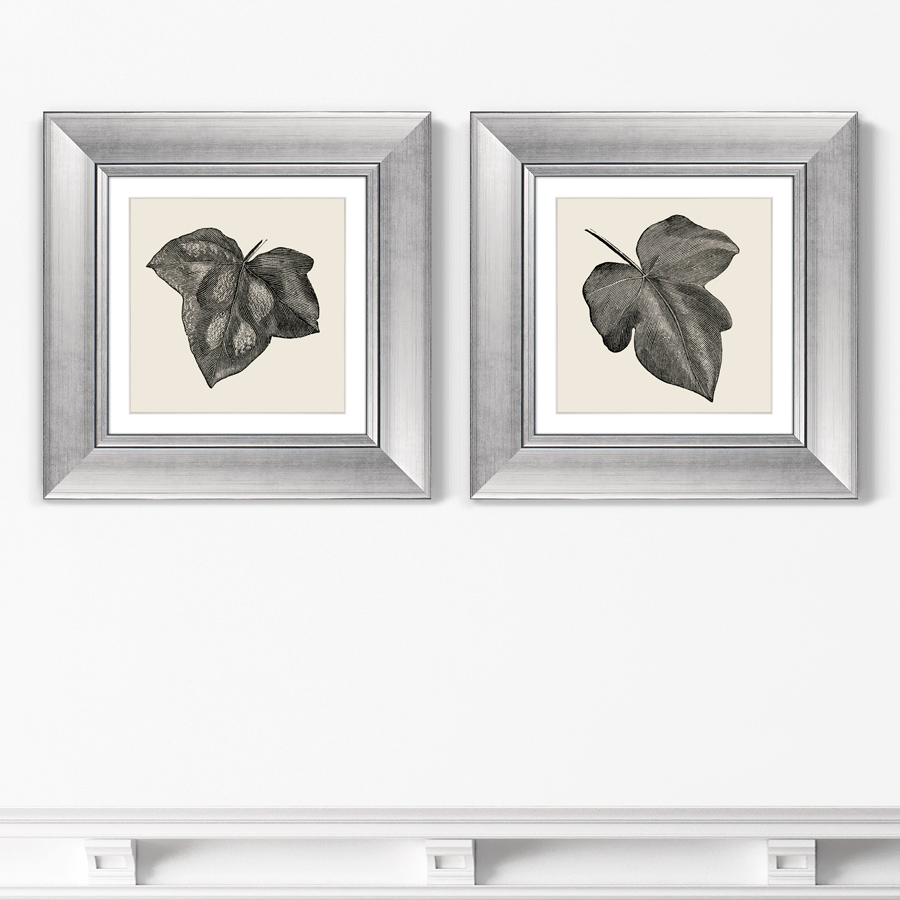 

Набор из 2-х репродукций картин в раме Rugosa from The Ivy 1882г. 35,5х35,5см