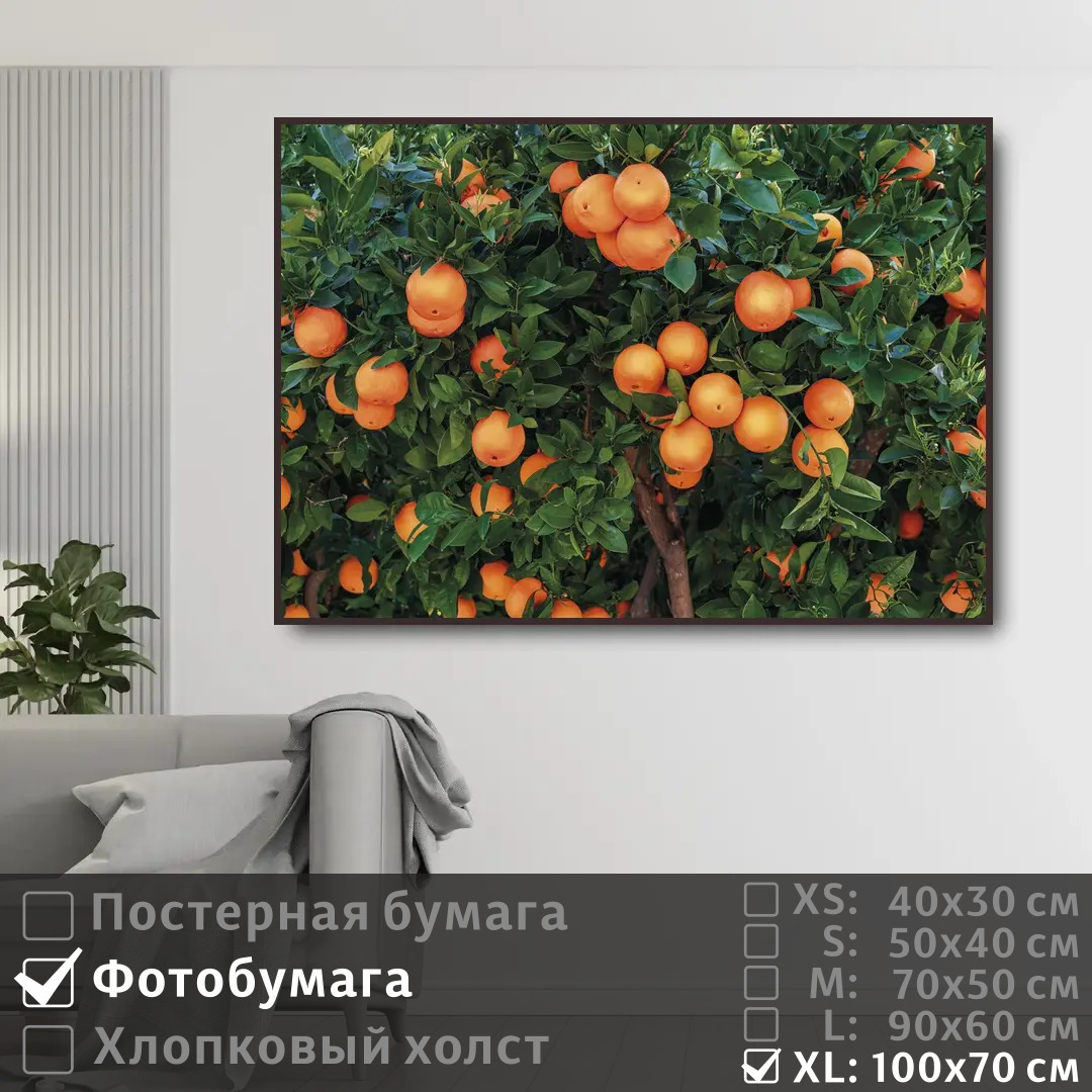 

Постер на фотобумаге ПолиЦентр Испанские апельсины 100х70 см, ИспанскиеАпельсины1
