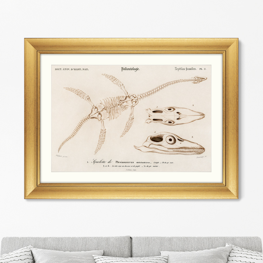 

Репродукция картины в раме Plesiosaurus 1849г. Размер картины: 60,5х80,5см