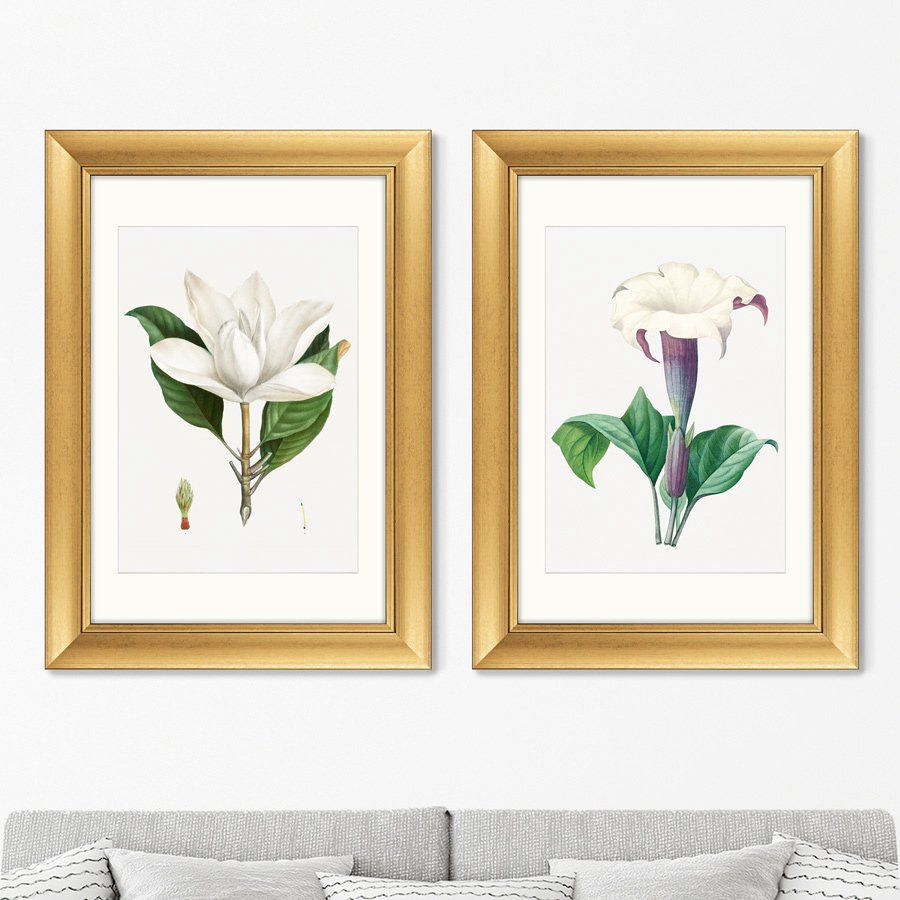 

Набор из 2-х репродукций картин в раме Antique plants drawn №45 1802г. 50,5х70,5см