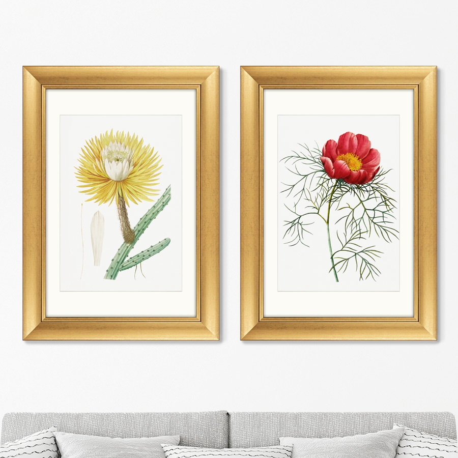 

Набор из 2-х репродукций картин в раме Antique plants drawn №27 1802г. 50,5х70,5см
