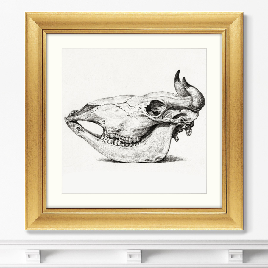 

Репродукция картины в раме Skull №I 1816г. Размер картины: 60,5х60,5см