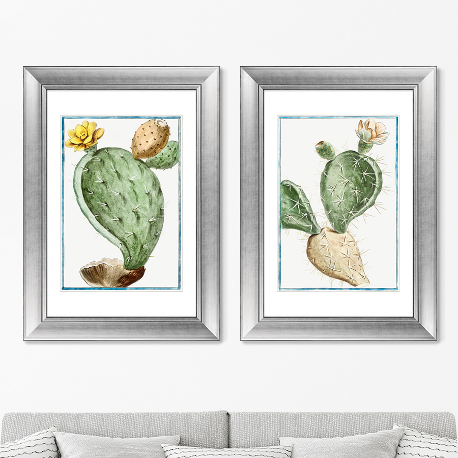 

Набор из 2-х репродукций картин в раме Semaphore Prickly Pear 1793г. 50,5х70,5см