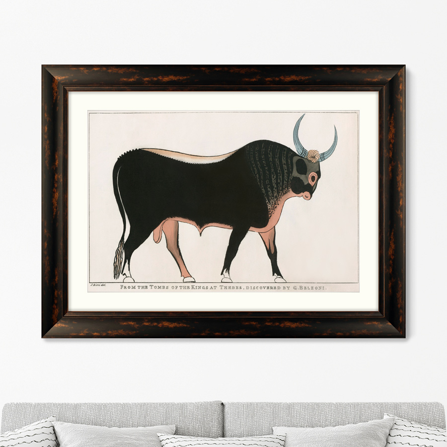 Репродукция картины в раме The Apis Bull 1820г. Размер картины: 60,5х80,5см