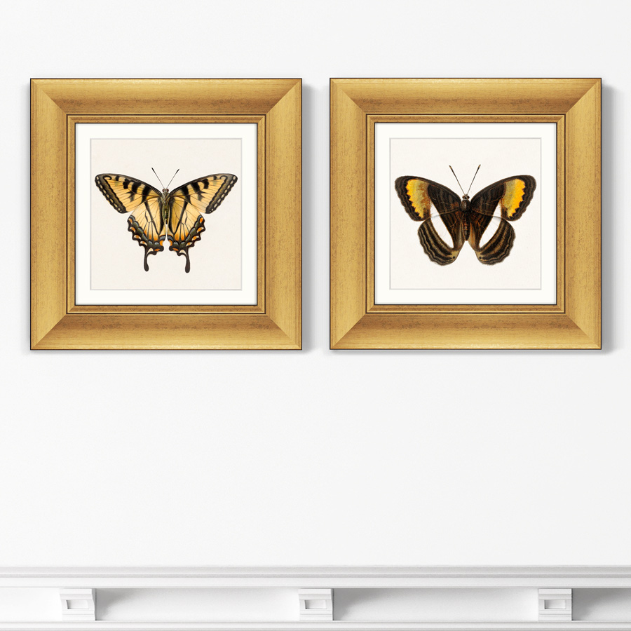 

Набор из 2-х репродукций картин в раме Two butterflies 1711г. Размер каждой 35,5х35,5см