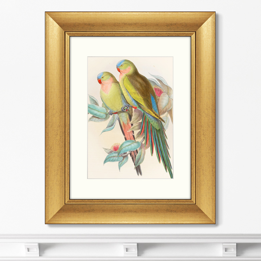 

Репродукция картины в раме Love parrots 1850г. Размер картины: 40,5х50,5см