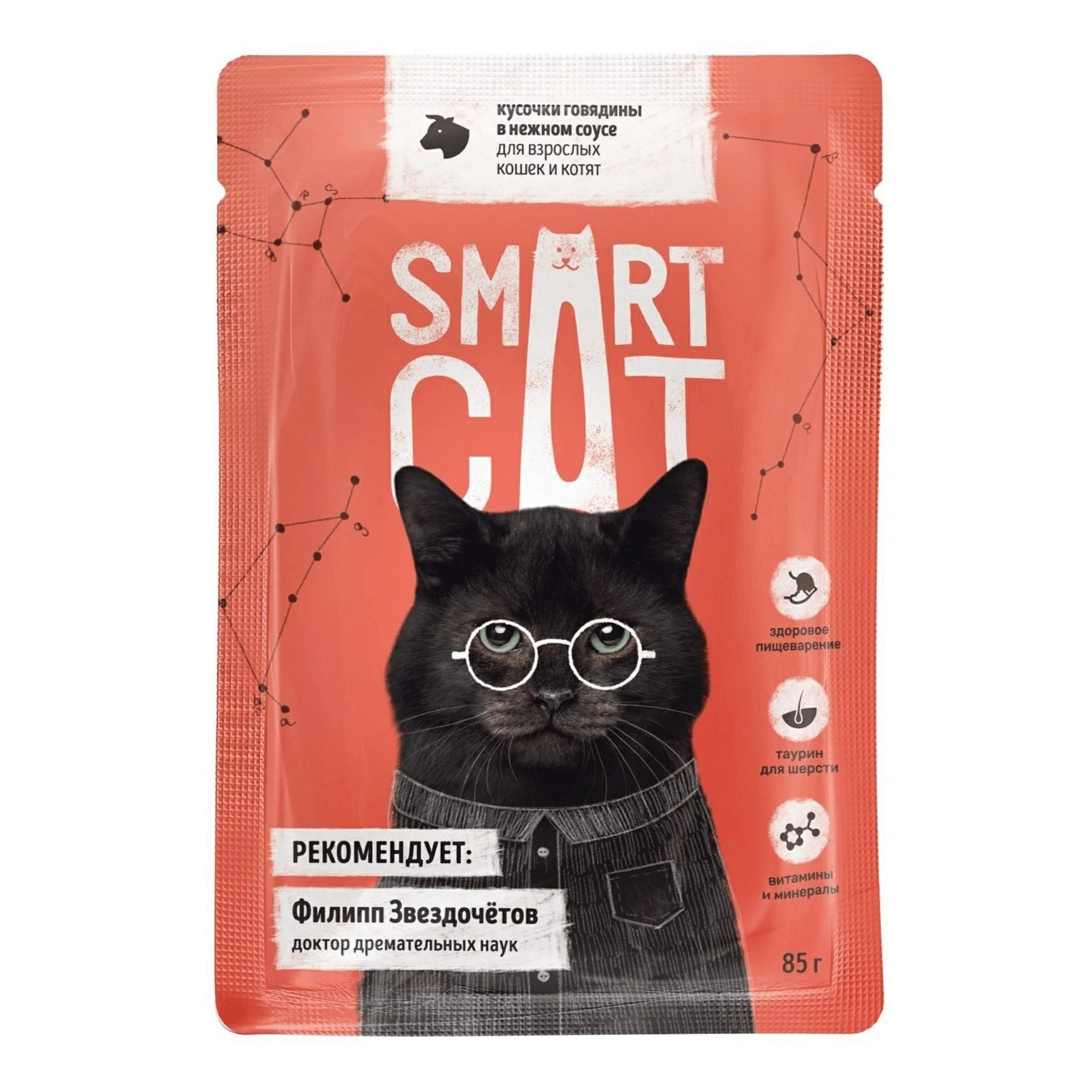 Smart cat. Смарт Кэт корм. Смарт Кэт корм для кошек. Smart Cat для кошек паучи. Смарт Кэт корм для кошек влажный.