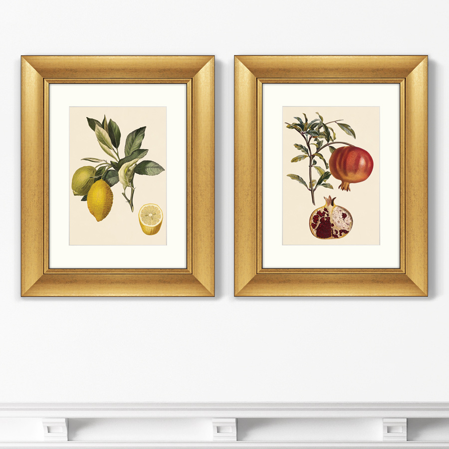 

Набор из 2-х репродукций картин в раме Juicy fruit lithography №10 1870г. 40,5х50,5см