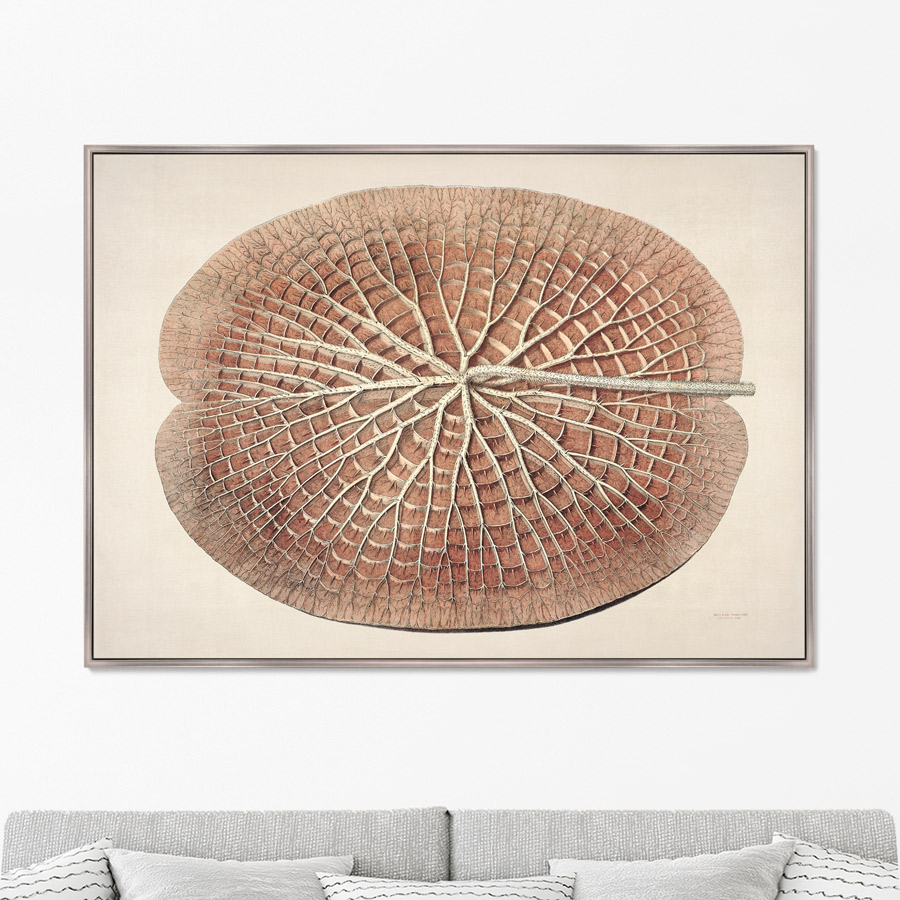 

Репродукция картины на холсте Leaf of a gigantic water lily 1870г. Размер 75х105см