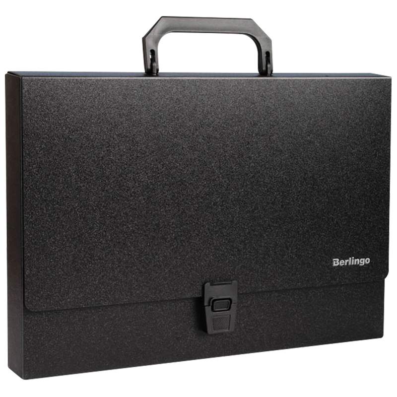 

Папка-портфель Berlingo 117159, 3 штуки