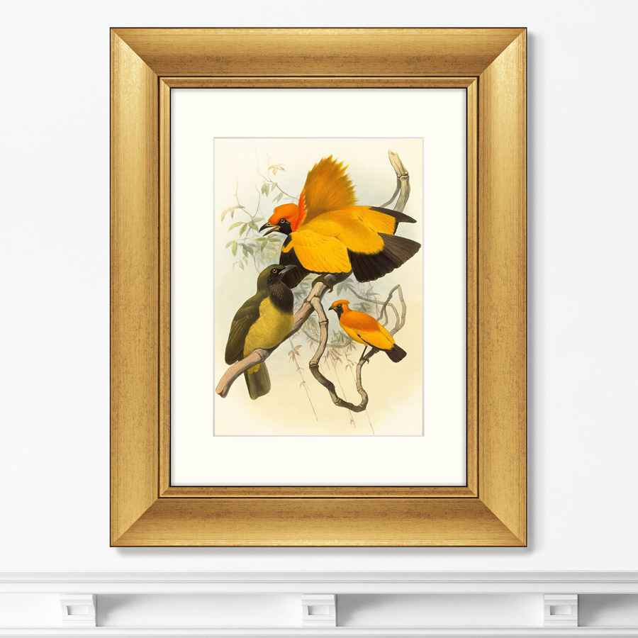 Репродукция картины в раме Золотые райские птицы 1885г. Размер картины: 40,5х50,5см