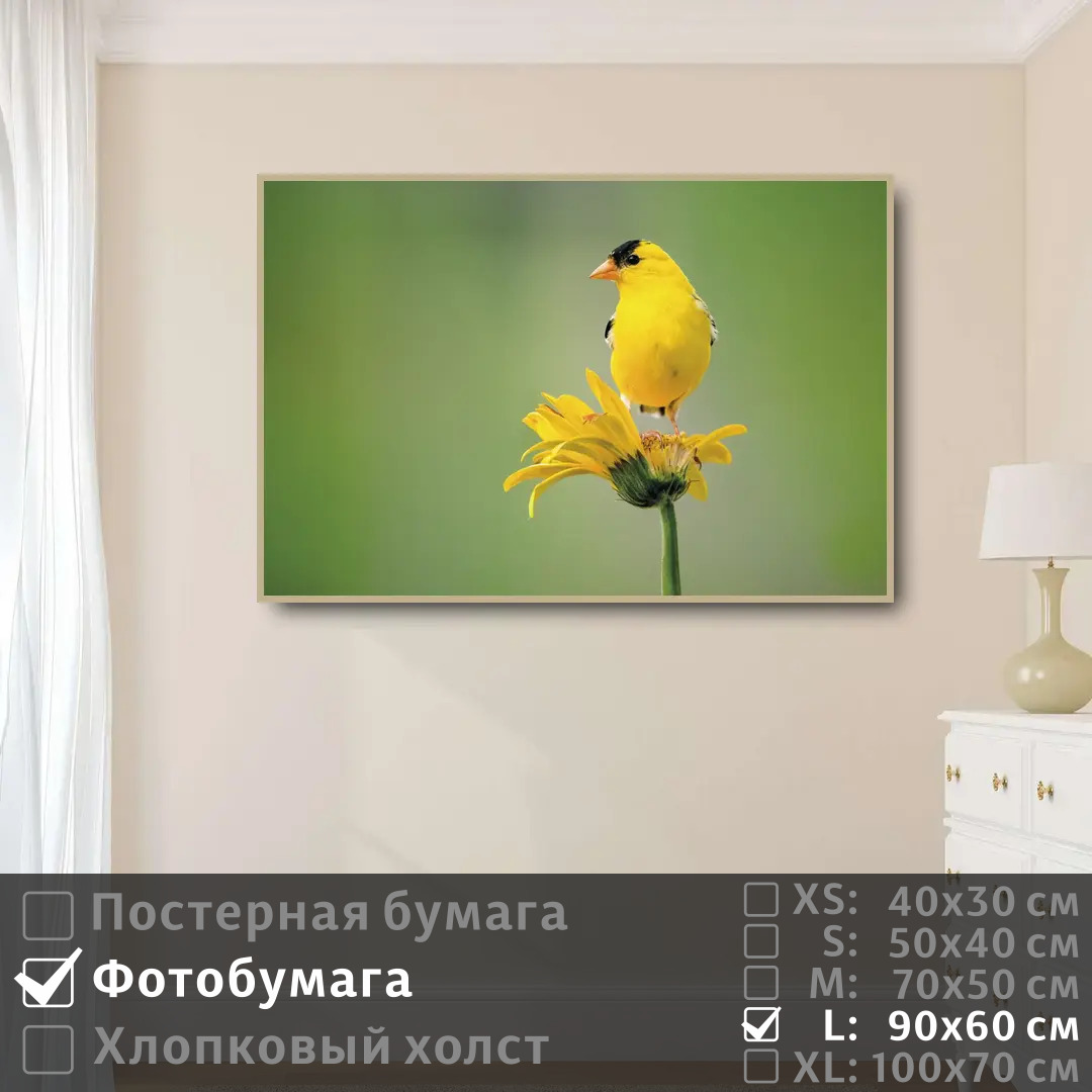 

Постер на фотобумаге ПолиЦентр Птичка желтая сидит на цветке 90х60 см, ПтичкаЖелтаяСидитНаЦветке