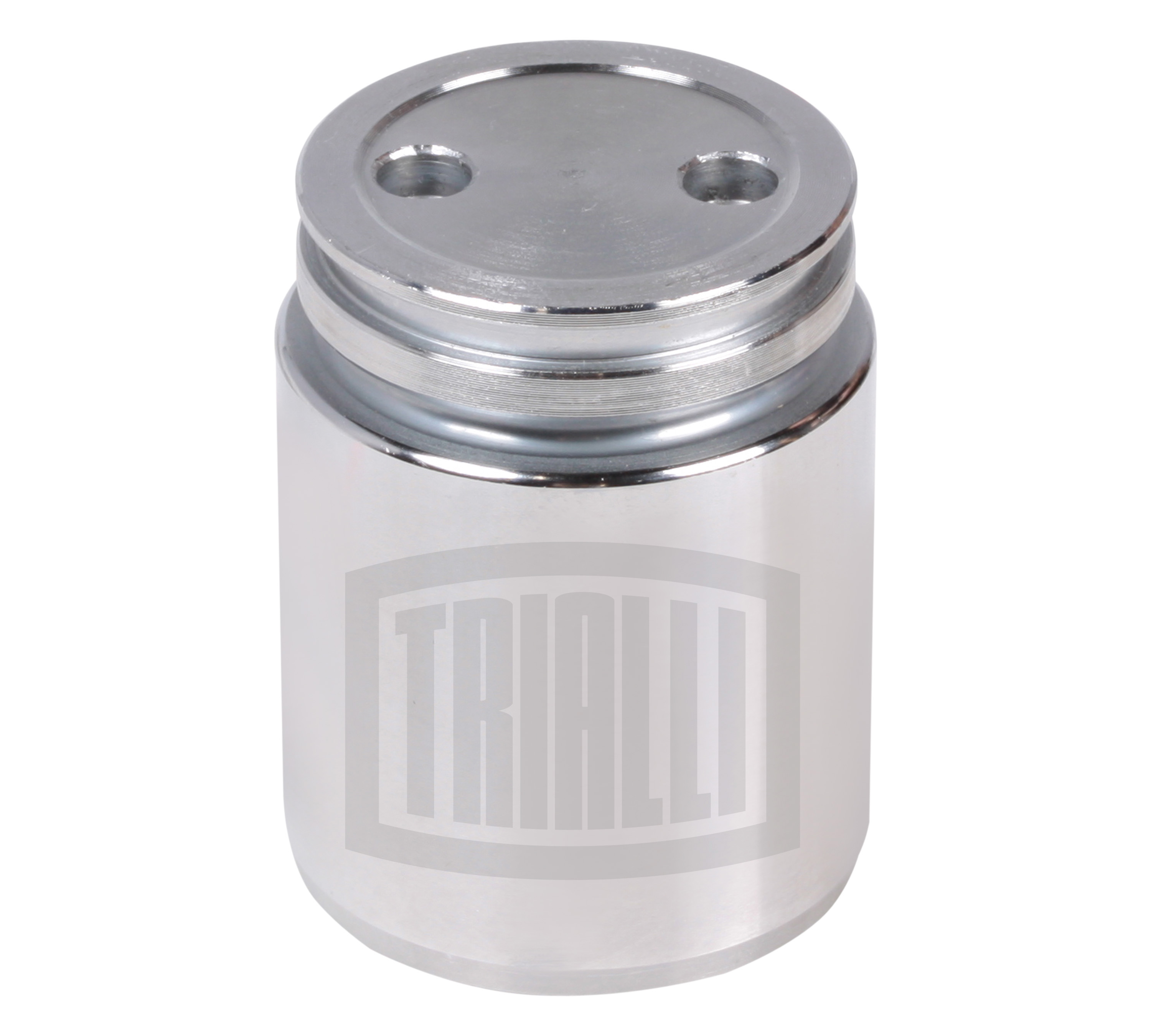 

Поршень зад. суппорта для Ford/Mazda/Opel/Renault/SAAB/Volvo d=38мм ATE TRIALLI RCF 102064