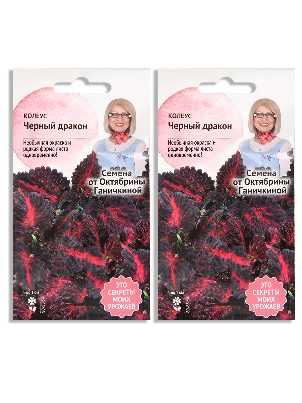 Семена набор колеус Семена от Октябрины Ганичкиной Черный дракон N04345-AGS/N02913-2 2 уп.
