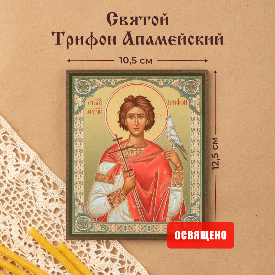 

Икона освященная Духовный наставник Трифон Апамейскии 10х12 на МДФ-6, 10х12 МДФ