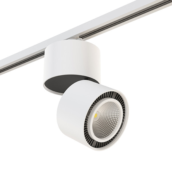

Светильник на шине Lightstar A1T214816