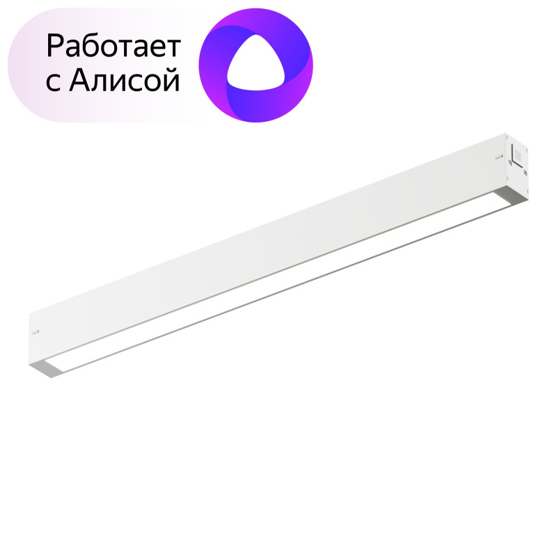 

Светильник на шине Denkirs DK8004-WH