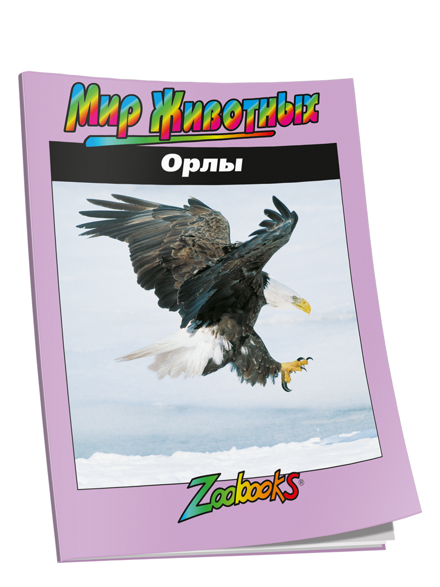 

Орлы, Мир животных