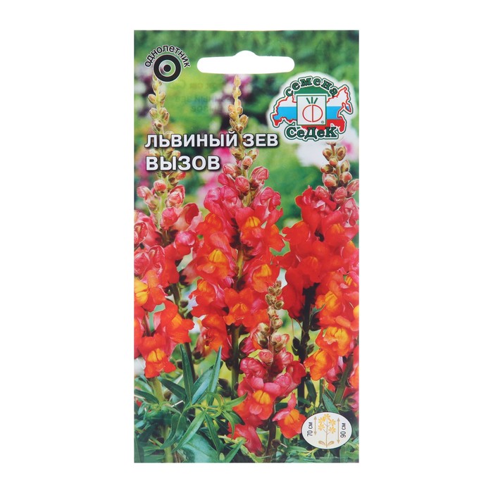 

Семена цветов Львиный зев "Вызов", Евро, 0,1 г (3 шт.)